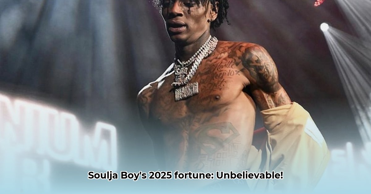 how-much-is-soulja-boy-s-net-worth